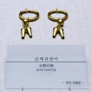 합천 옥전 M6호분 출토 금귀걸이 | 합천 옥전 출토 금귀걸이 (陜川 玉田 합천 옥전 出土 金製耳飾)