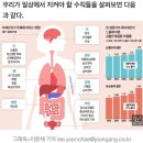 2025년 3월 10일 월요일, 신문을 통해 알게 된 것들 이미지