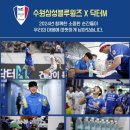 삼성엠(M)약국 | 알칼리수 루틴이 달라진 이유, 닥터M 미네랄워터 일상 사용 후기