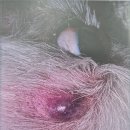 상일 쓰담쓰담 동물병원 이미지