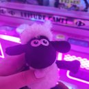 용게임랜드 이미지