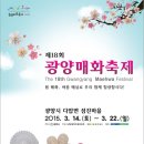 광양매화축제 이미지