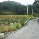 여주-0928 이미지