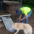 순돌이네펫택시 이미지