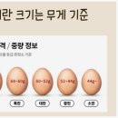 에그24 이미지
