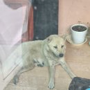 백운상사 이미지