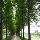 유계초등학교 이미지