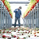 신종목장 이미지