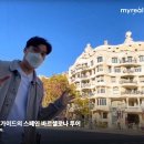마이가이드