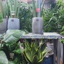 한솔화원 이미지