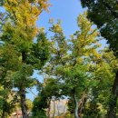 룸비니농장 | 진관사와 북한산의 초가을 풍경