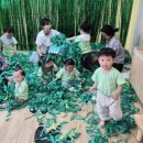 국공립 푸르지오로이 어린이집