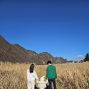 GS25단양가곡점 | 단양여행 가곡 사평리 고운골 갈대밭 겨울에도 예쁘지만 봄여름 강추!!!!