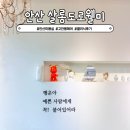 한빛 미용실 | 안산 고잔동 미용실 살롱드로웰미 안산고잔점 해승실장님 나노클리닉 후기