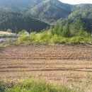 어진농장 이미지