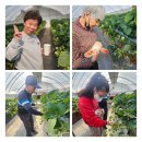 개성농장 2 이미지