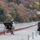 춘천여성인력개발센터