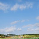 오천그린광장 이미지