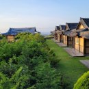 먼나머루휴양펜션 | 제주임장투어(제주 편백나무 한옥펜션 &#34;먼나머루&#34;)