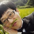 체리투어