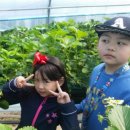 명학농장 이미지