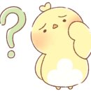 더특별한날베이킹스튜디오