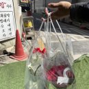 에덴꽃화원 네이버블로그