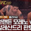 [UFC] 브랜든 모레노 VS 알레샨드리 판토자 이미지