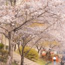 미니스톱 아주대점 이미지