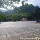 싱그러운청도로(여름) 이미지