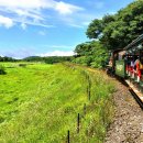 에코랜드 이미지