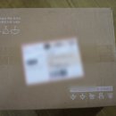 초당농장 | 신선한문마켓 초당옥수수농장 옥수수구매 후기