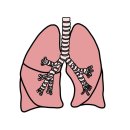 비인두암, 침샘암, 편도암, 후두암, 비강암 환자의 방사선치료 부작용 - 치료 요법 ​ 이미지