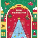 광복로겨울빛트리축제 티스토리