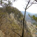 신덕면사무소 이미지