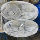 율포회센터 이미지