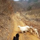 성준민박 이미지