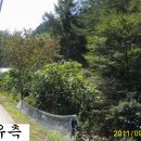 홍천임업 - 1779 | 홍천임업