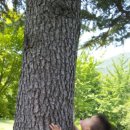 아가숲어린이집 이미지