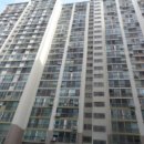 사파동239 이미지