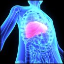 엘바이오 이미지