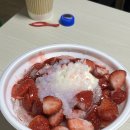 금커피별빙수광주북구
