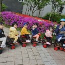 하담어린이집 이미지