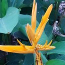 (주)세계로투어 이미지