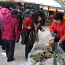 화개농원 이미지