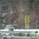 송이나라 이미지