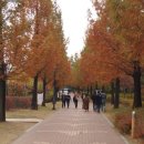 자연생태공원 잔디광장 옆 이미지