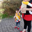 곡성-264 이미지