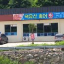 덕유산 송어 이미지