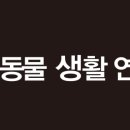 무인연구소